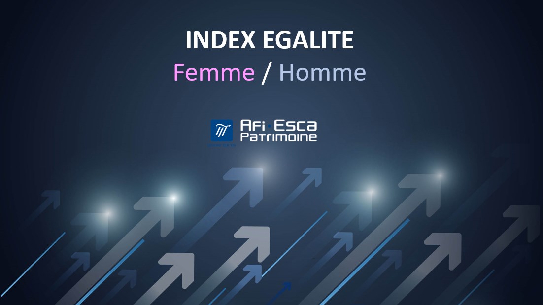 Index égalité femmes hommes 2022 Afi Esca Patrimoine